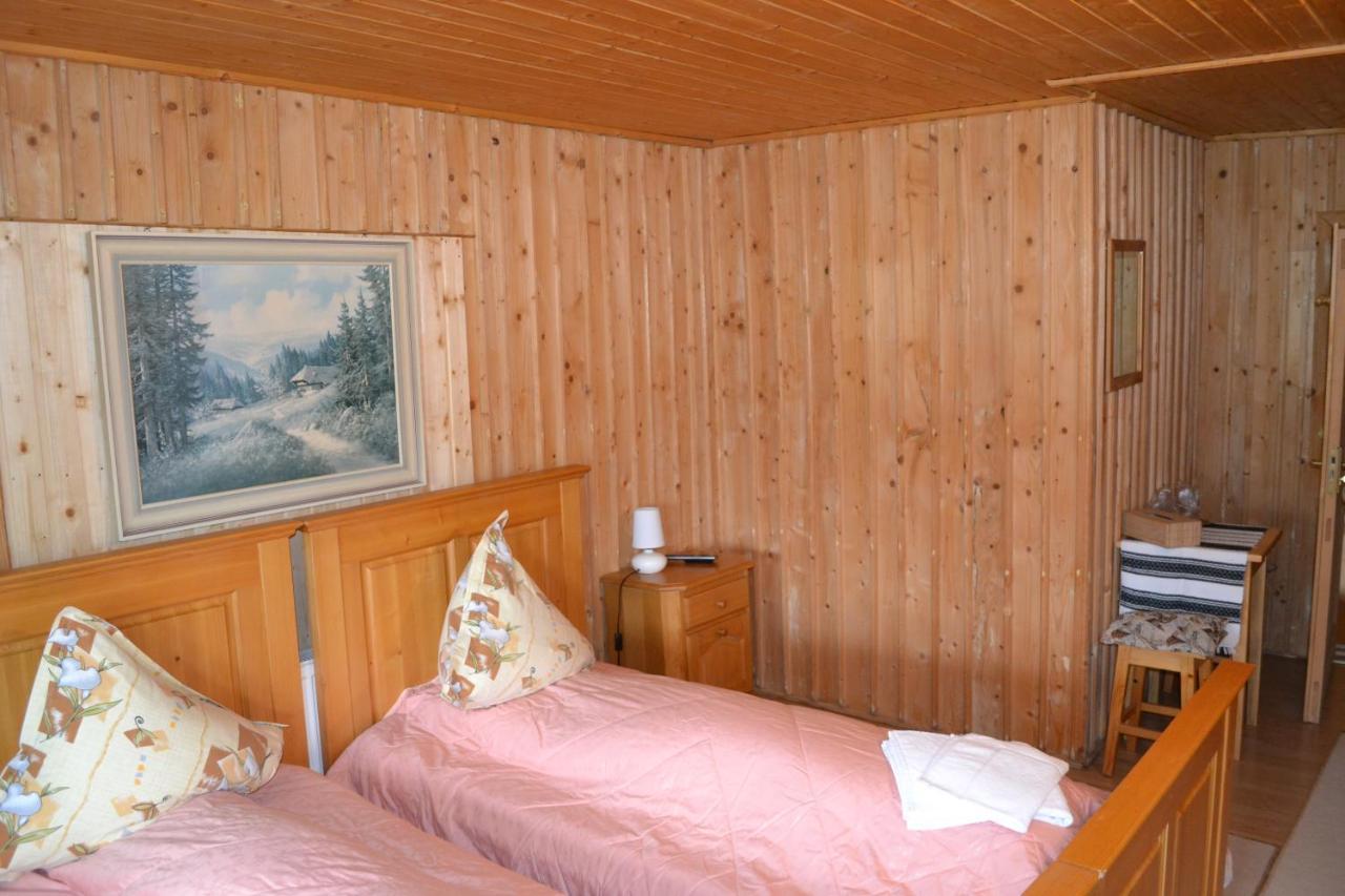 Hotel Pension Lucia Bucovina Vama  Exteriér fotografie