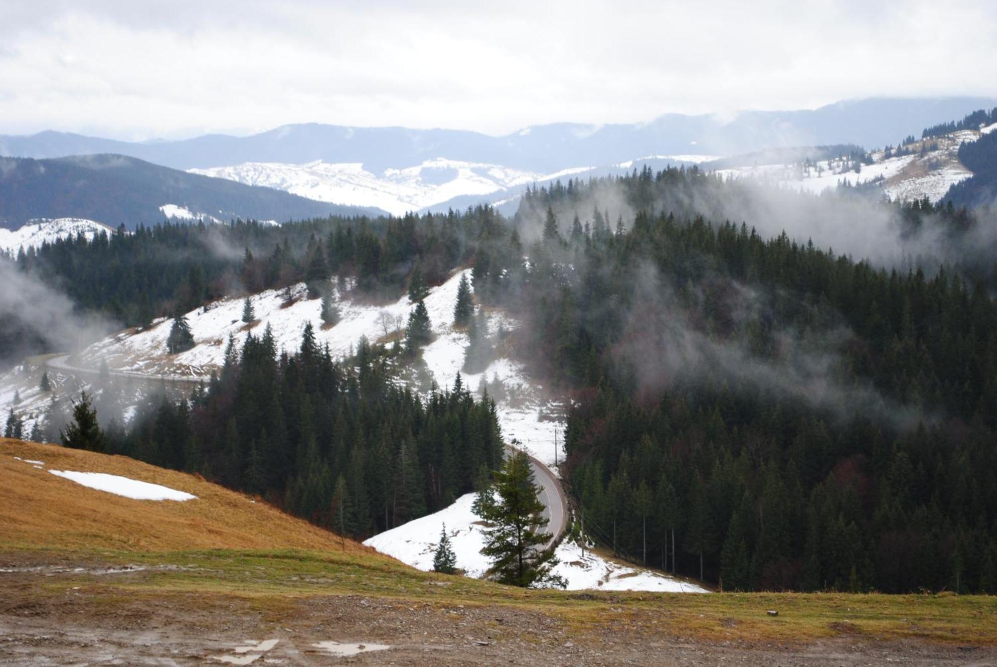 Hotel Pension Lucia Bucovina Vama  Exteriér fotografie
