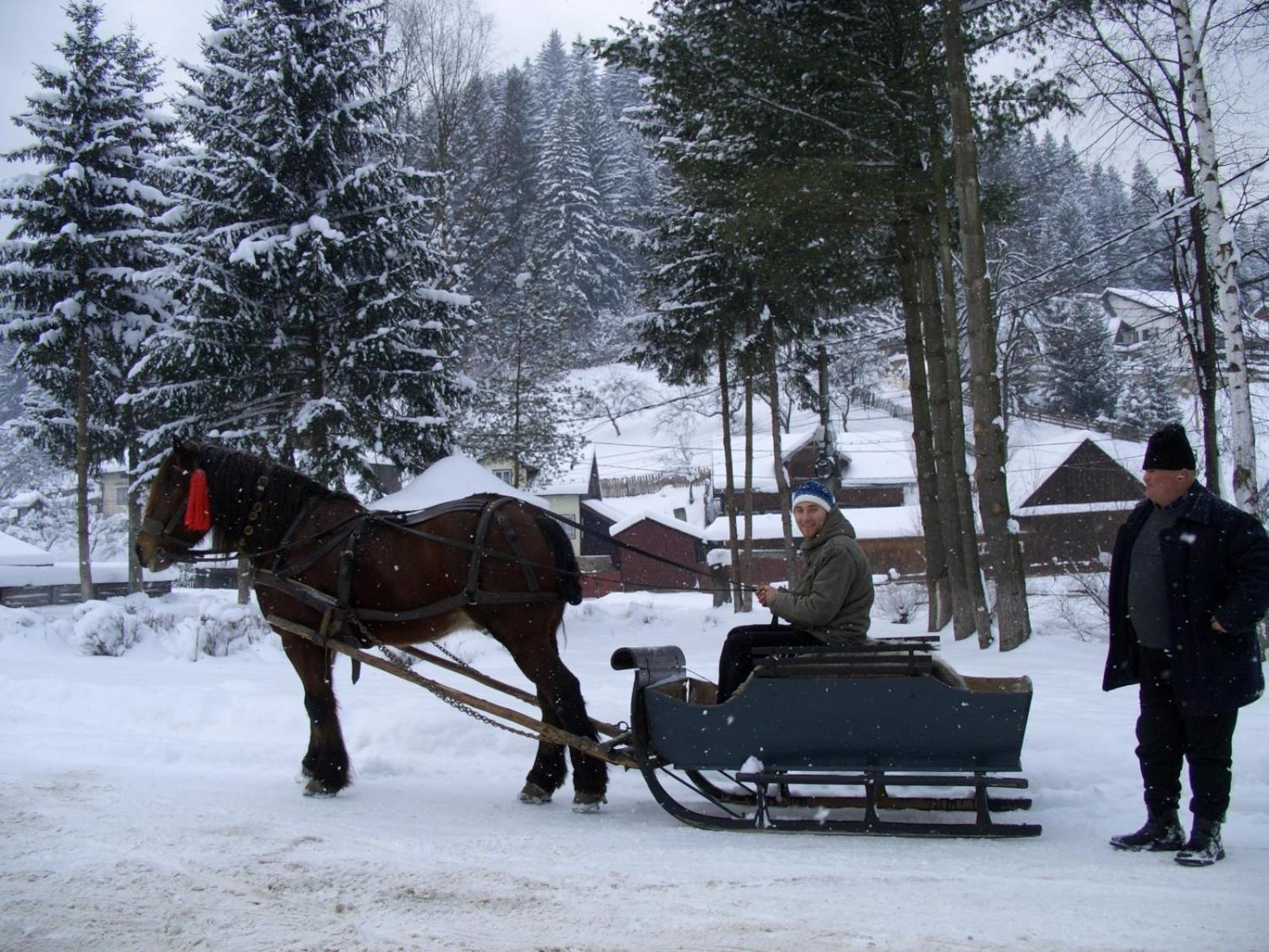 Hotel Pension Lucia Bucovina Vama  Exteriér fotografie