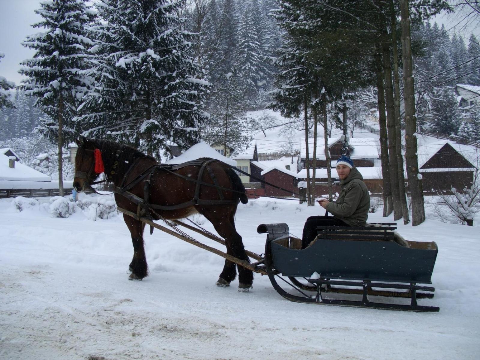 Hotel Pension Lucia Bucovina Vama  Exteriér fotografie